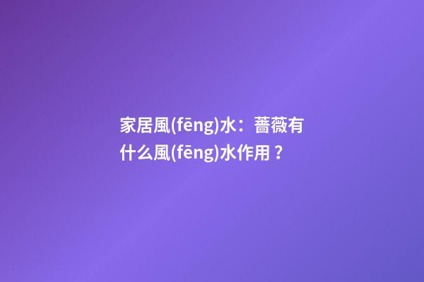 家居風(fēng)水：薔薇有什么風(fēng)水作用？